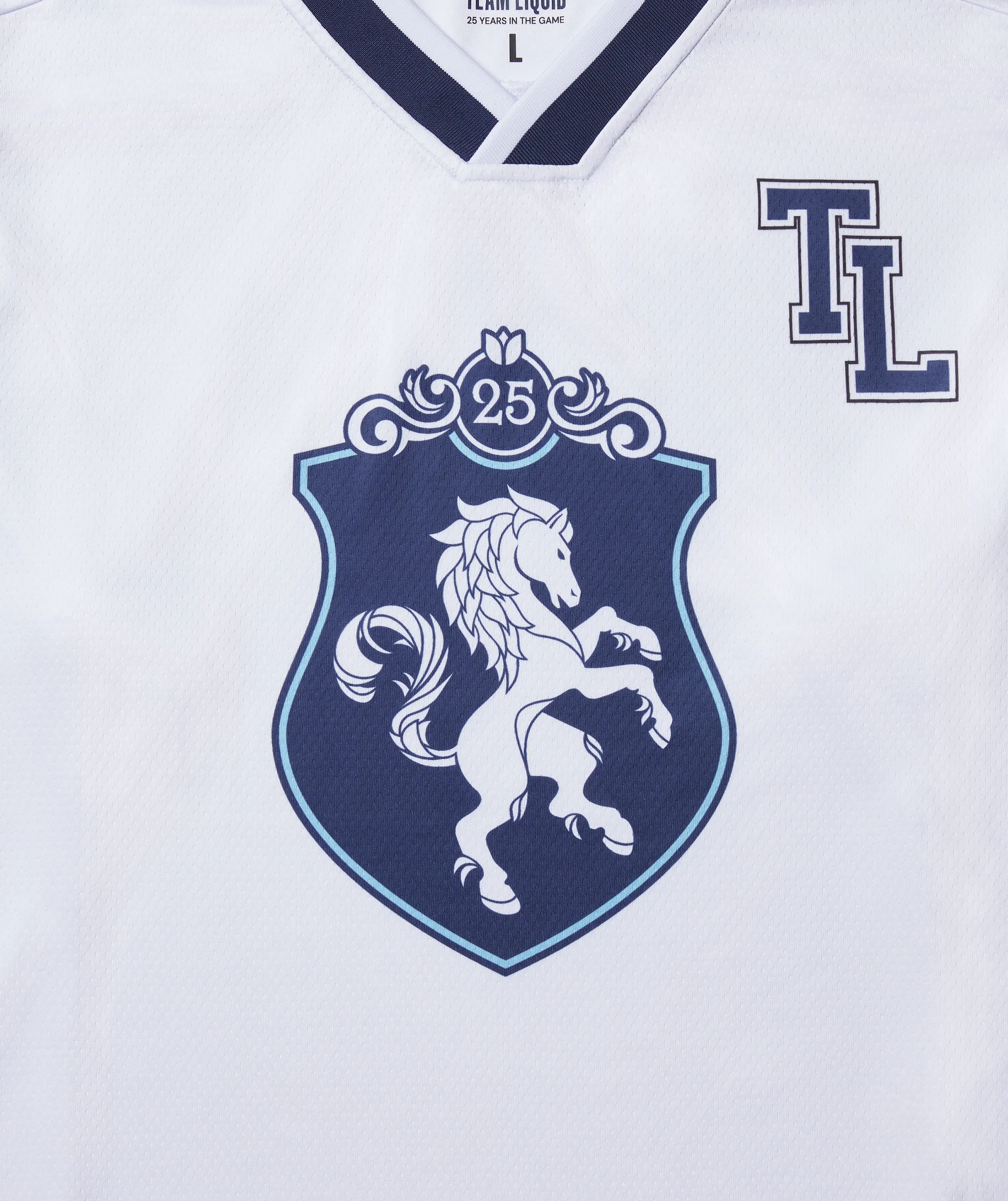 QUARTER CENTURY HOCKEY JERSEY - Image 5