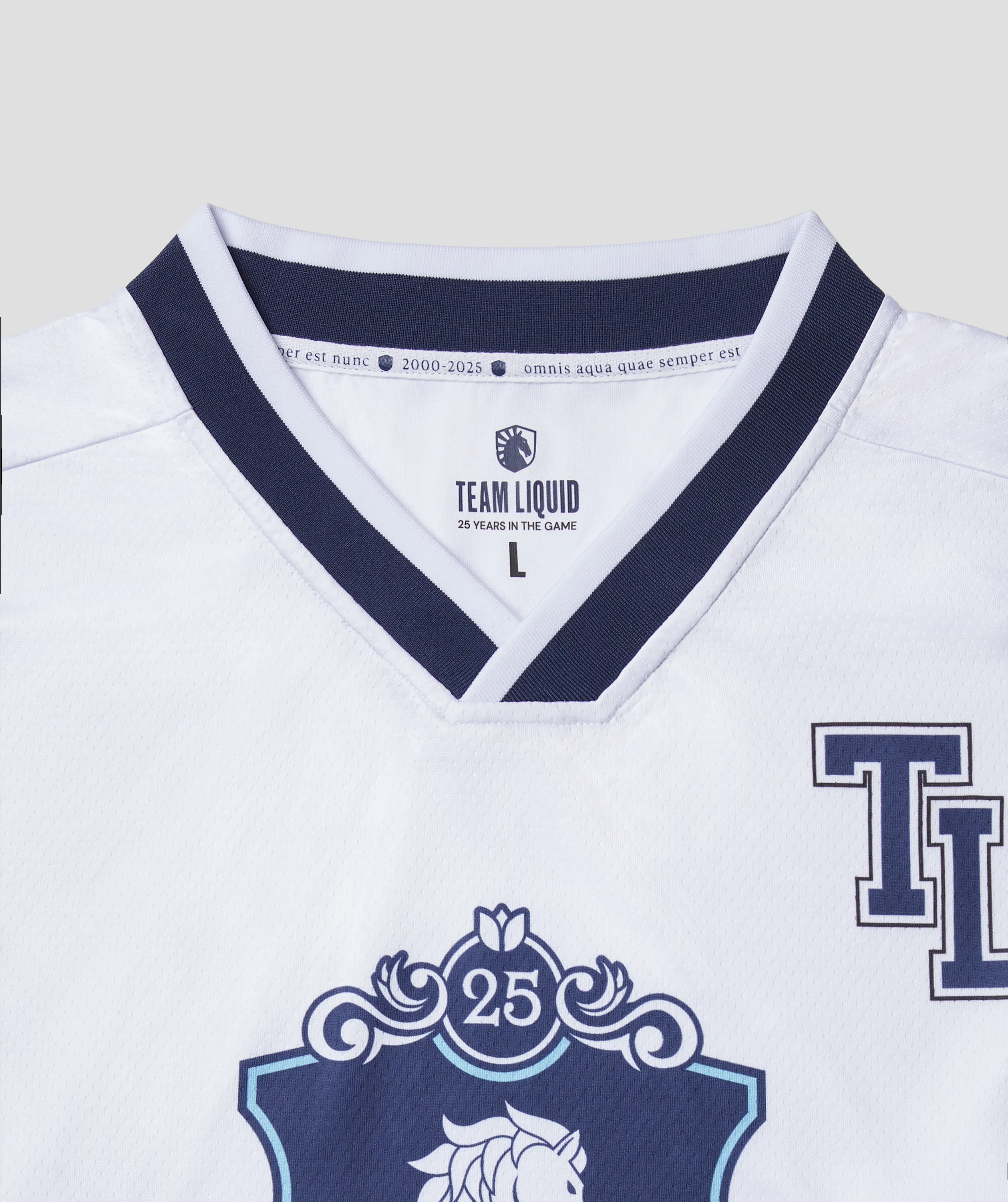 QUARTER CENTURY HOCKEY JERSEY - Image 6