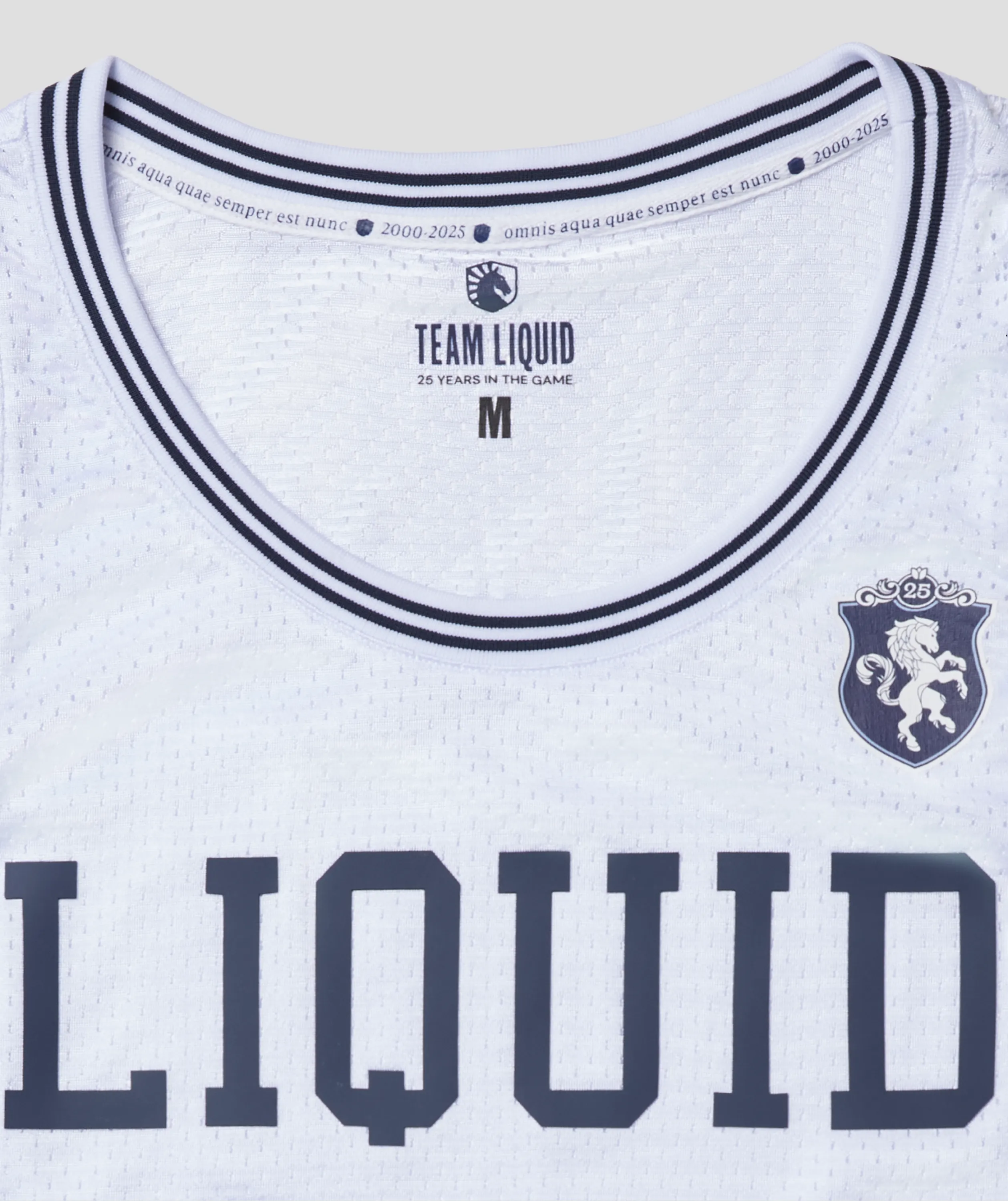 QUARTER CENTURY BASKETBALL JERSEY - Image 8