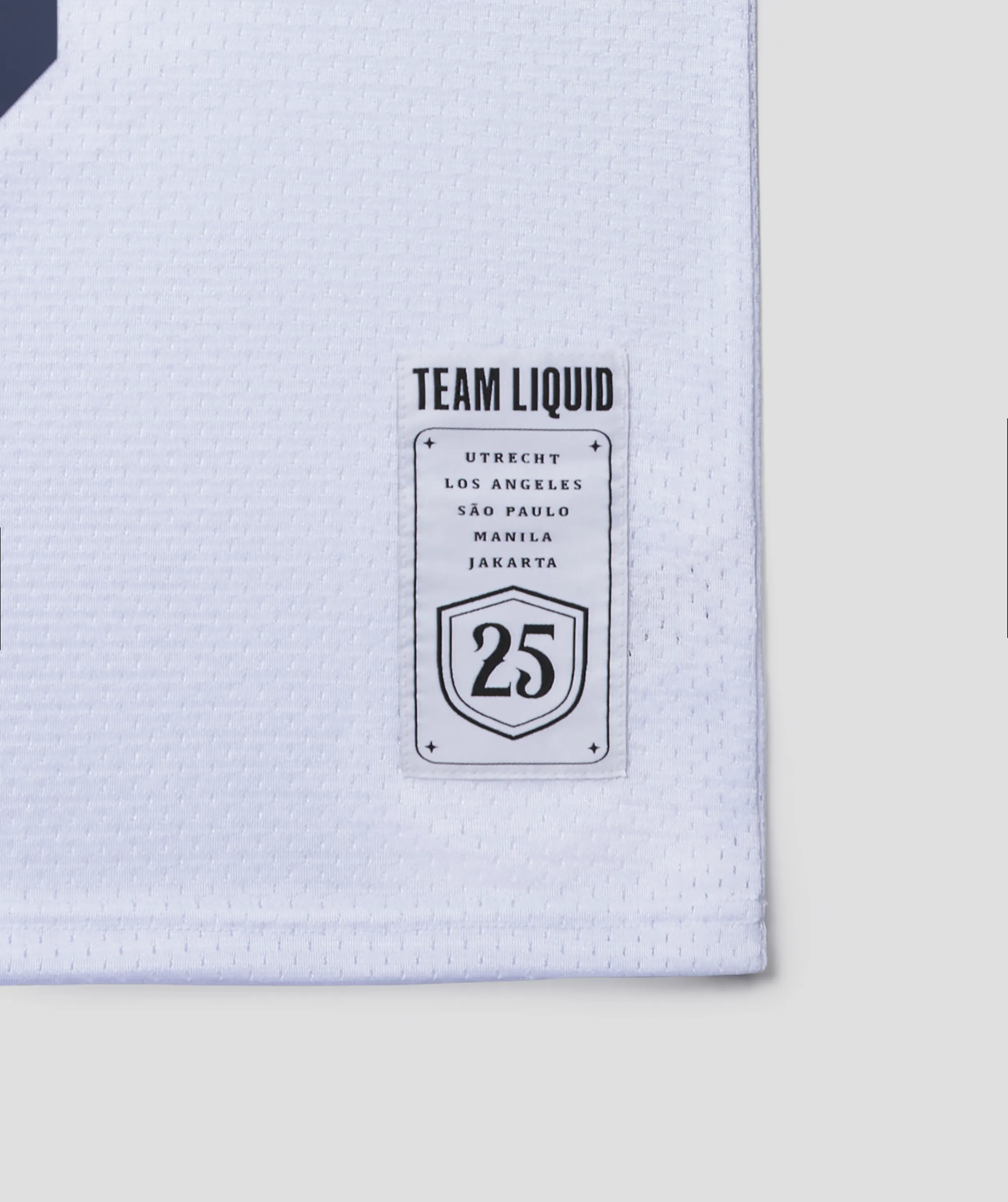 QUARTER CENTURY BASKETBALL JERSEY - Image 9