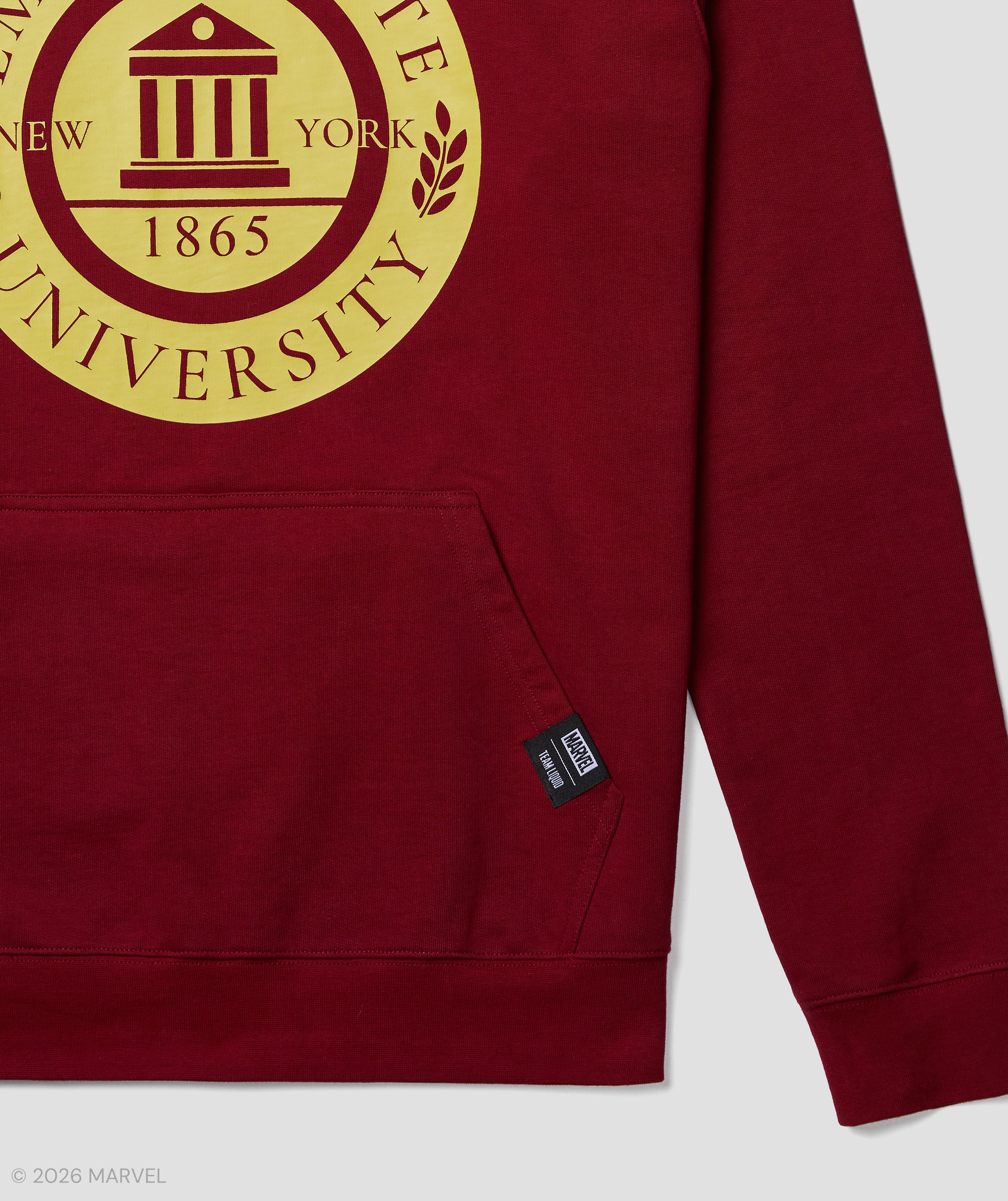 MARVEL RIVALS EMPIRE STATE UNIVERSITY HOODIE - Image 8